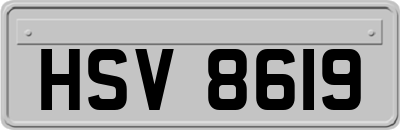 HSV8619