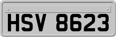 HSV8623