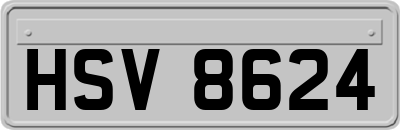 HSV8624