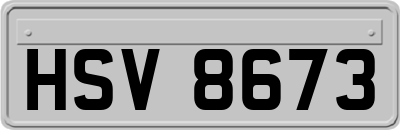 HSV8673