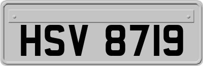 HSV8719