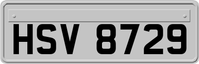 HSV8729