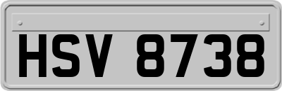 HSV8738