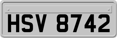 HSV8742