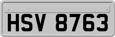 HSV8763