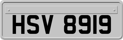 HSV8919
