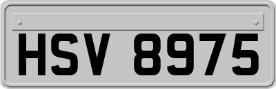 HSV8975