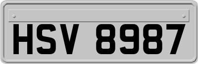 HSV8987