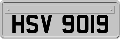 HSV9019