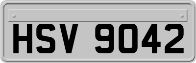 HSV9042