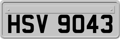 HSV9043