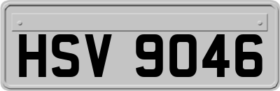 HSV9046