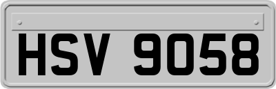 HSV9058