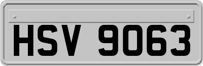 HSV9063