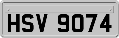 HSV9074