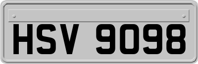 HSV9098