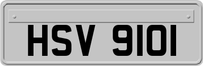 HSV9101