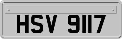 HSV9117