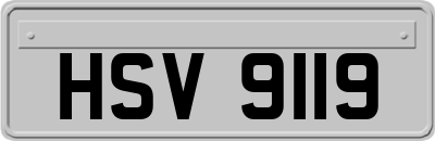 HSV9119