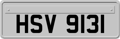 HSV9131