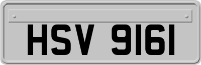 HSV9161