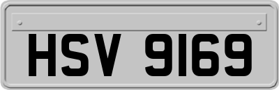 HSV9169