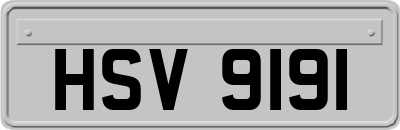 HSV9191