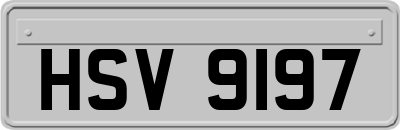 HSV9197