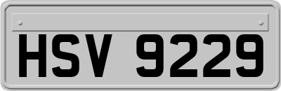 HSV9229