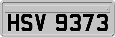 HSV9373