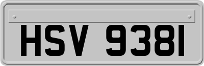 HSV9381