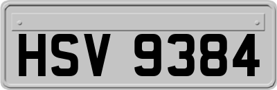 HSV9384