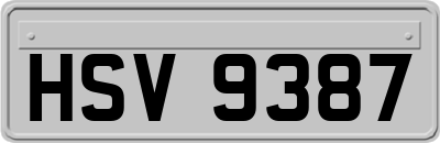 HSV9387