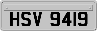 HSV9419