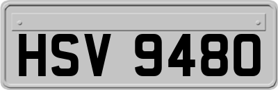 HSV9480