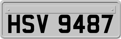 HSV9487