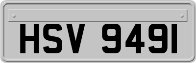 HSV9491