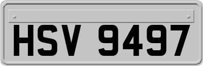 HSV9497