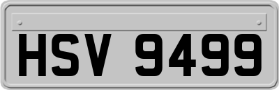 HSV9499