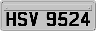 HSV9524