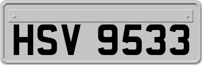 HSV9533