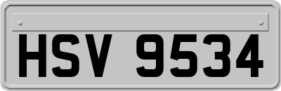 HSV9534
