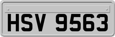 HSV9563