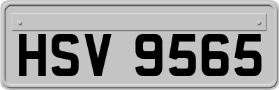 HSV9565