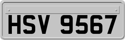 HSV9567