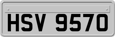HSV9570