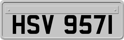 HSV9571