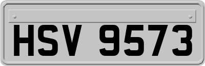 HSV9573