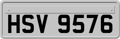 HSV9576