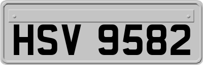 HSV9582
